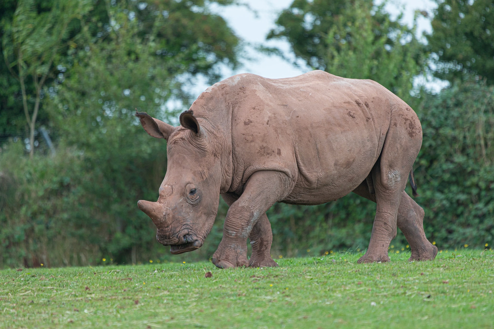 South Lakeland Safari Zoo