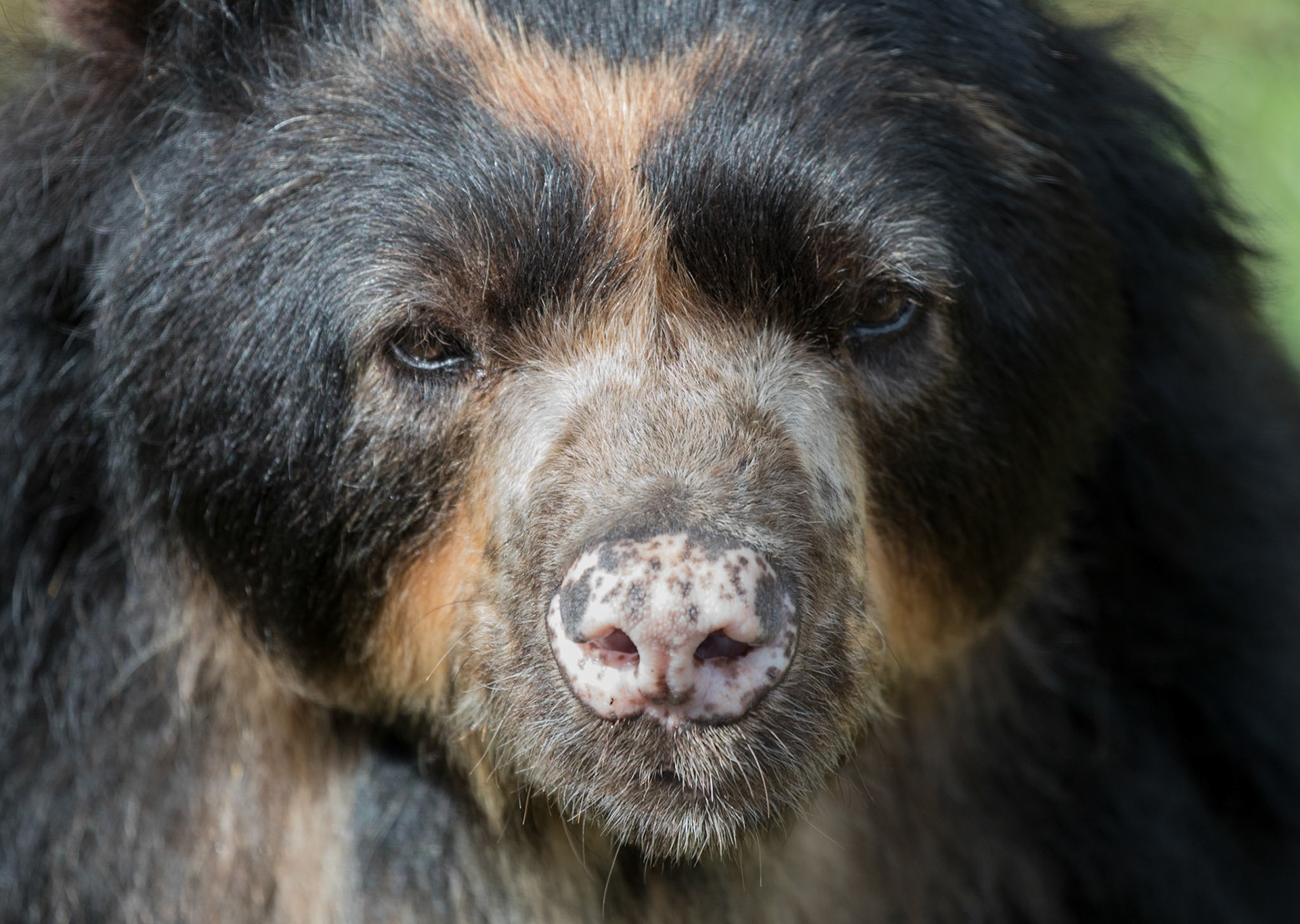 South Lakeland Safari Zoo