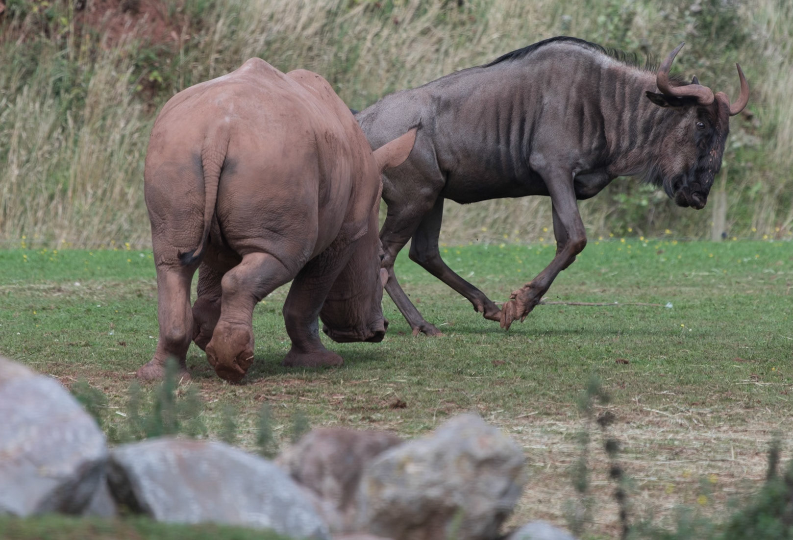 South Lakeland Safari Zoo