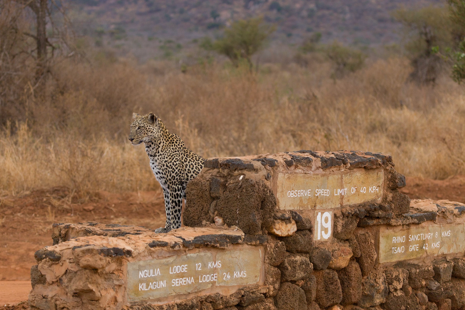 Photos taken at Tsavo East and West, Kenya