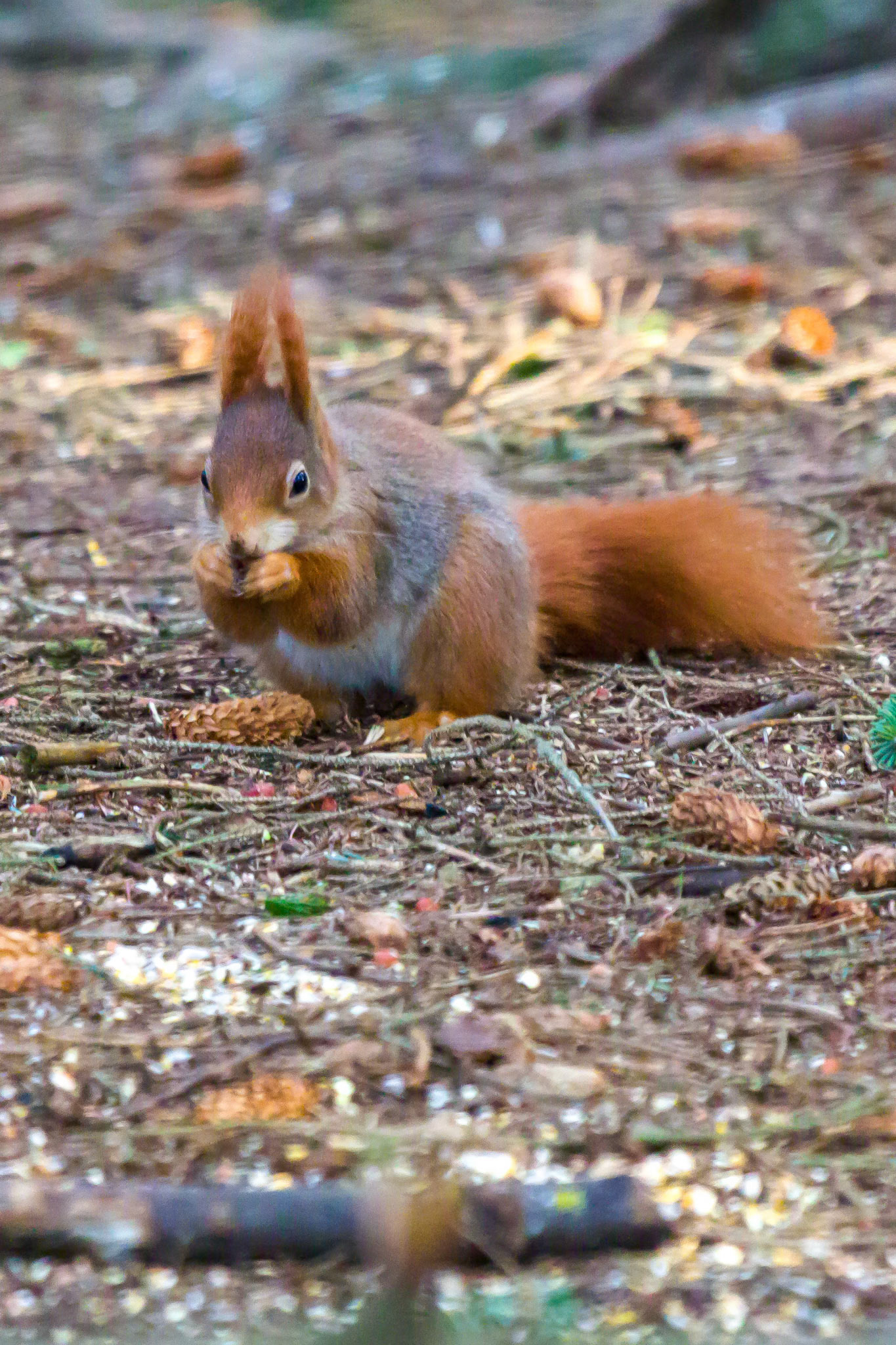 Penrhos Coastal Park