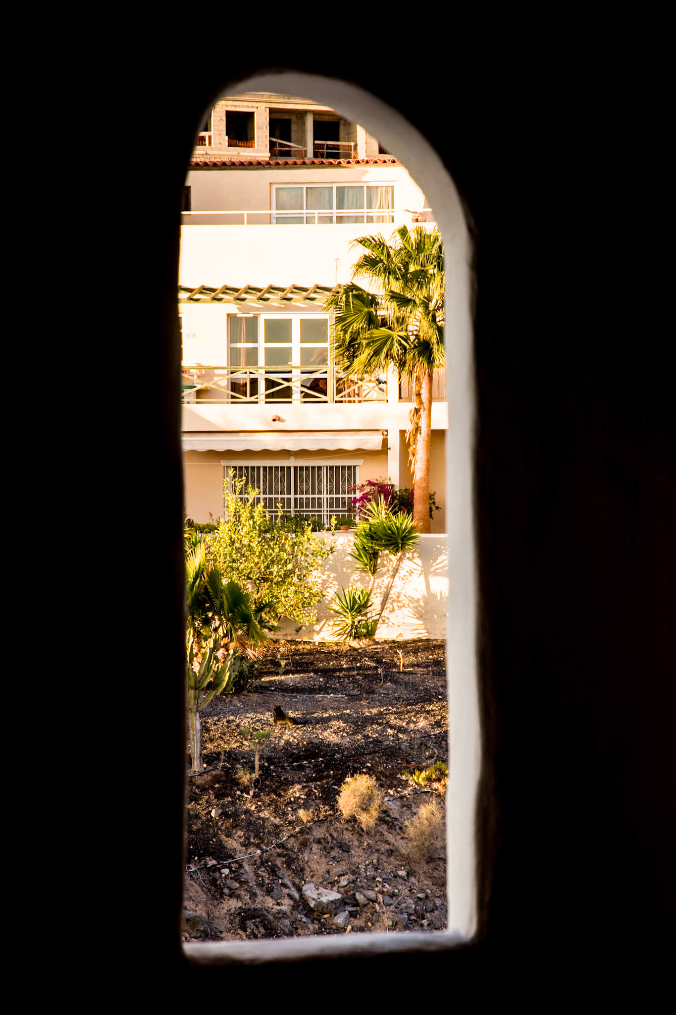 View From Corridor