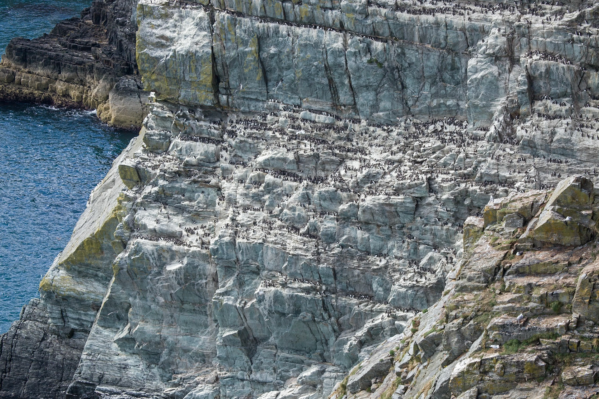 RSPB South Stack