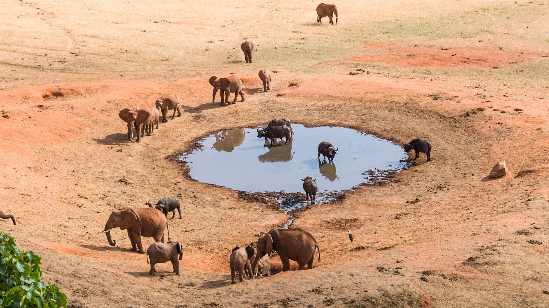 Watering hole, Tsavo East Kenya