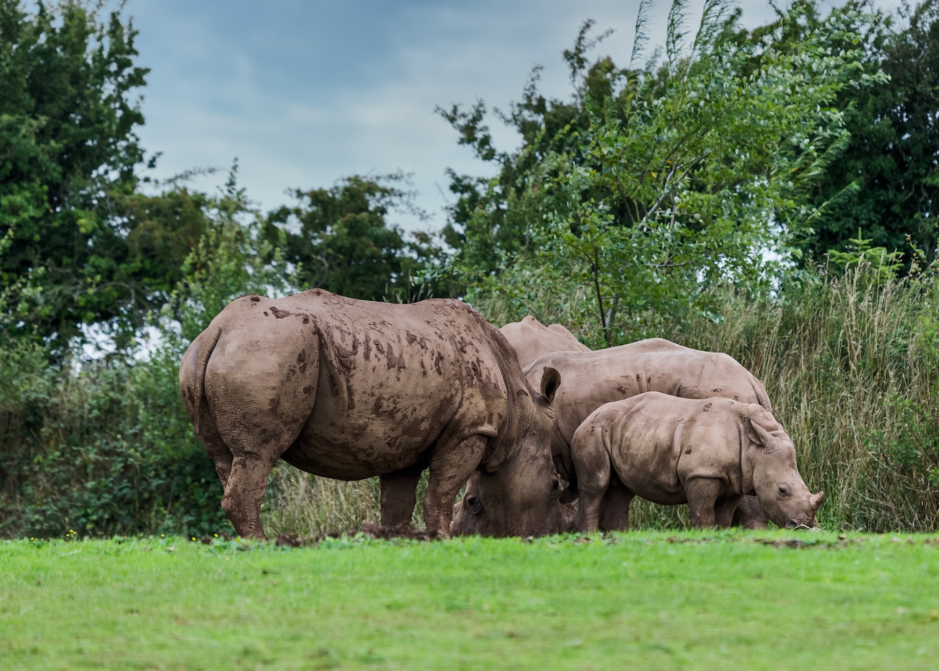 South Lakeland Safari Zoo