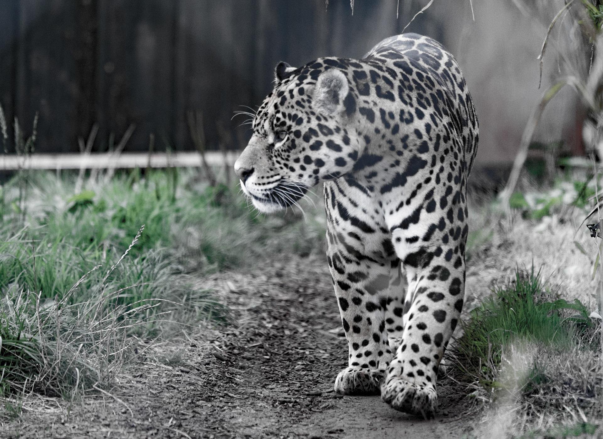 South Lakeland Safari Zoo