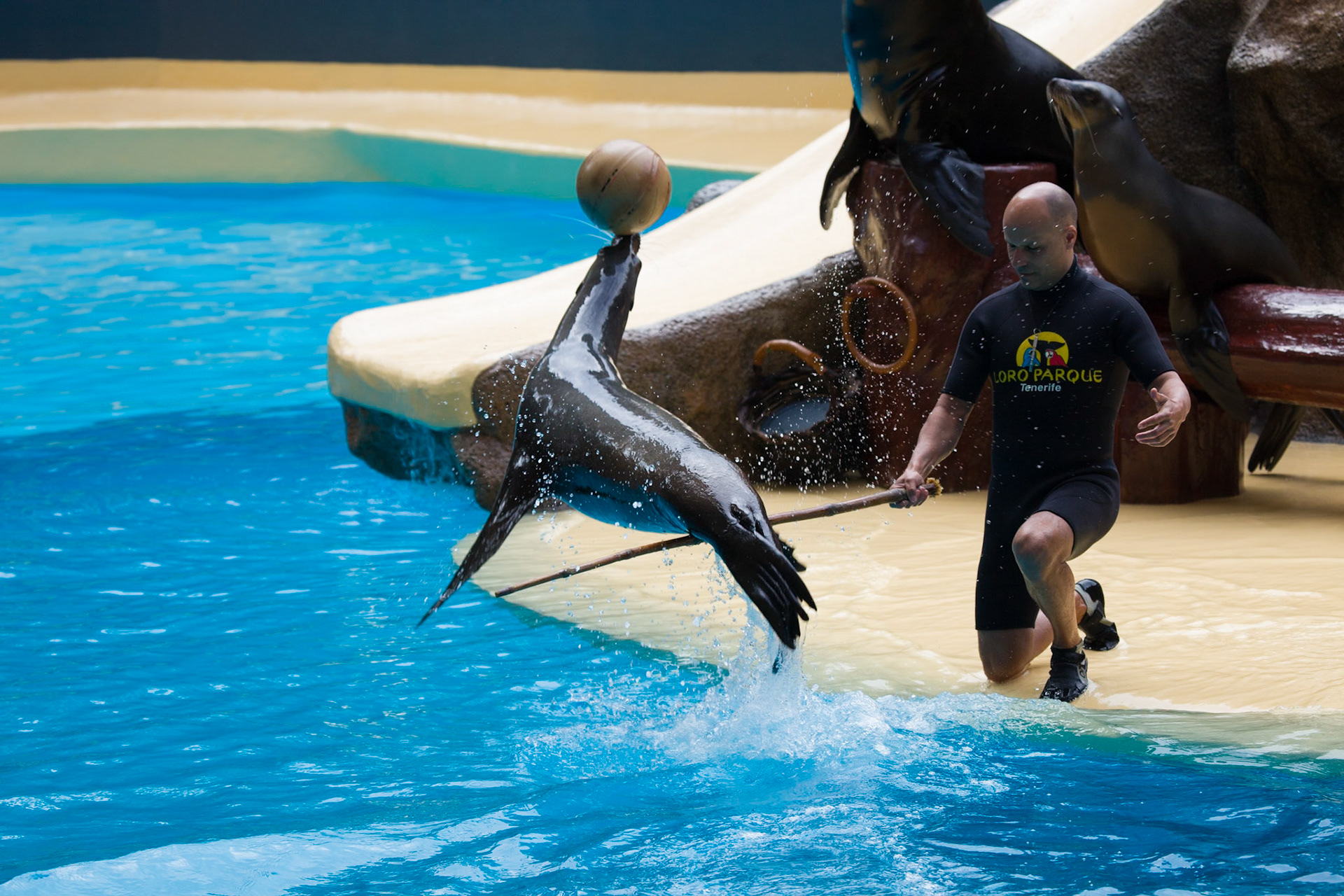 Loro Parque