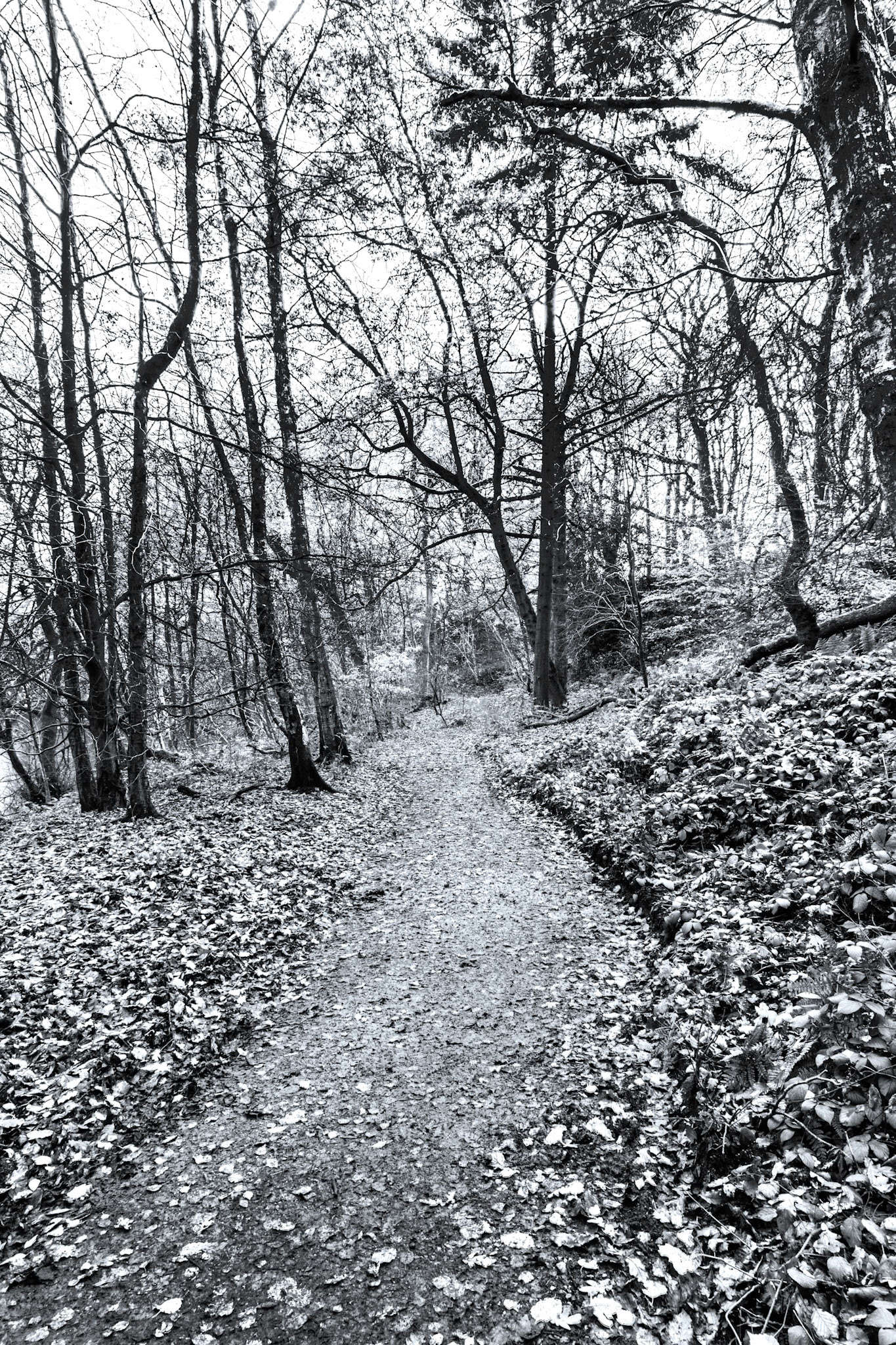 A walk around Knypersley