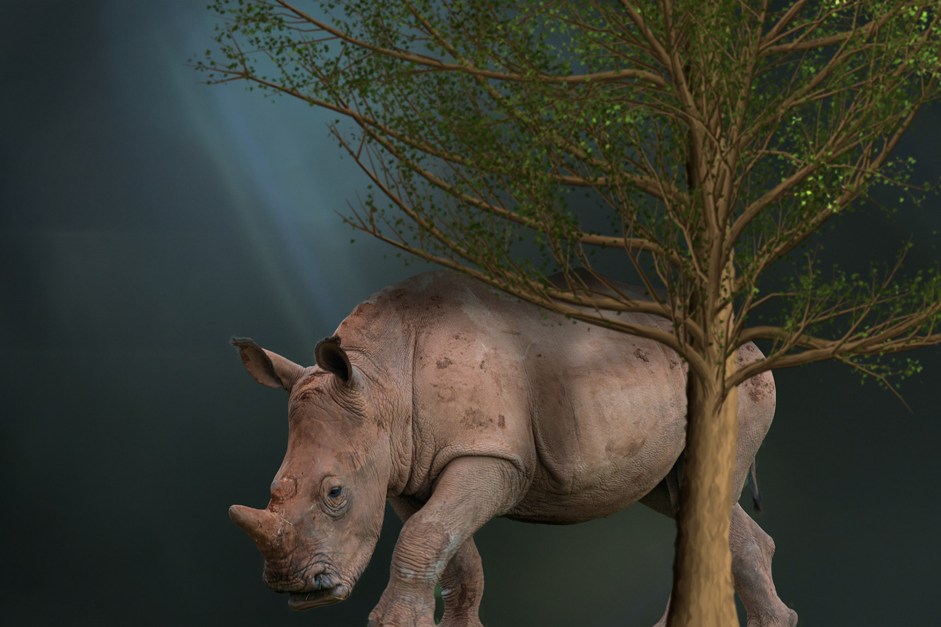 Only The Rhino is real