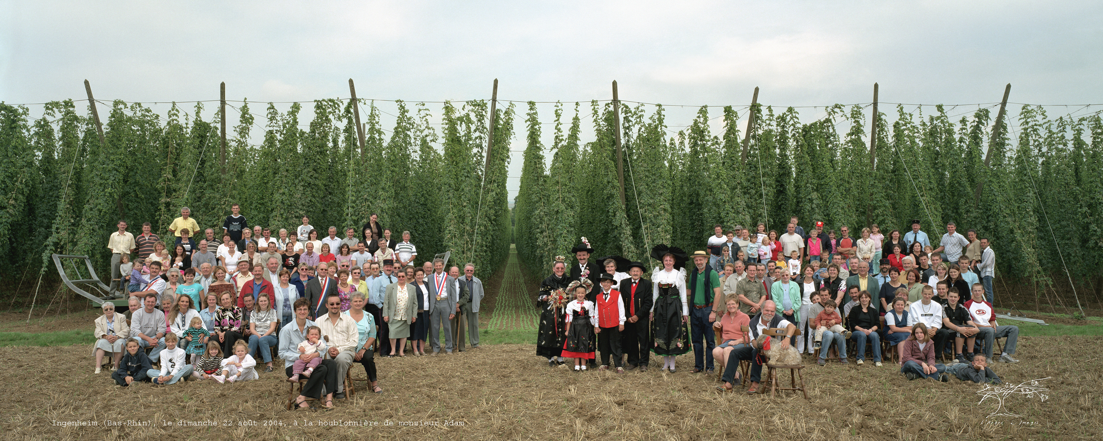 Ingenheim - Bas-Rhin - 2004