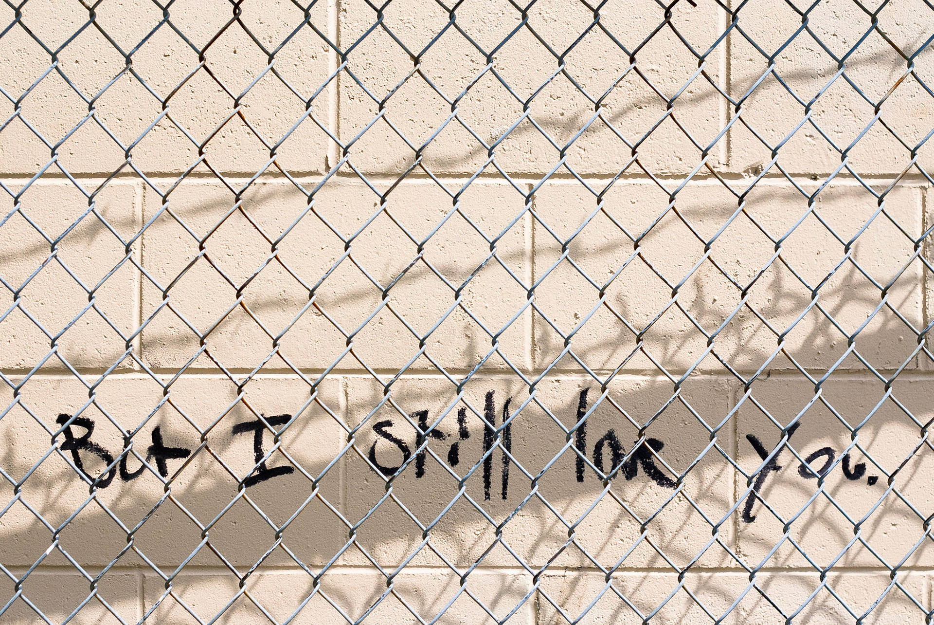 Sometimes people don't say the things they mean.
Truth lies in the shadows.

Did they know how the shadow of the fence and the barbed wire would comment back? 

"I feel trapped, But I still love you."

I love moments when random words and light play together nicely.