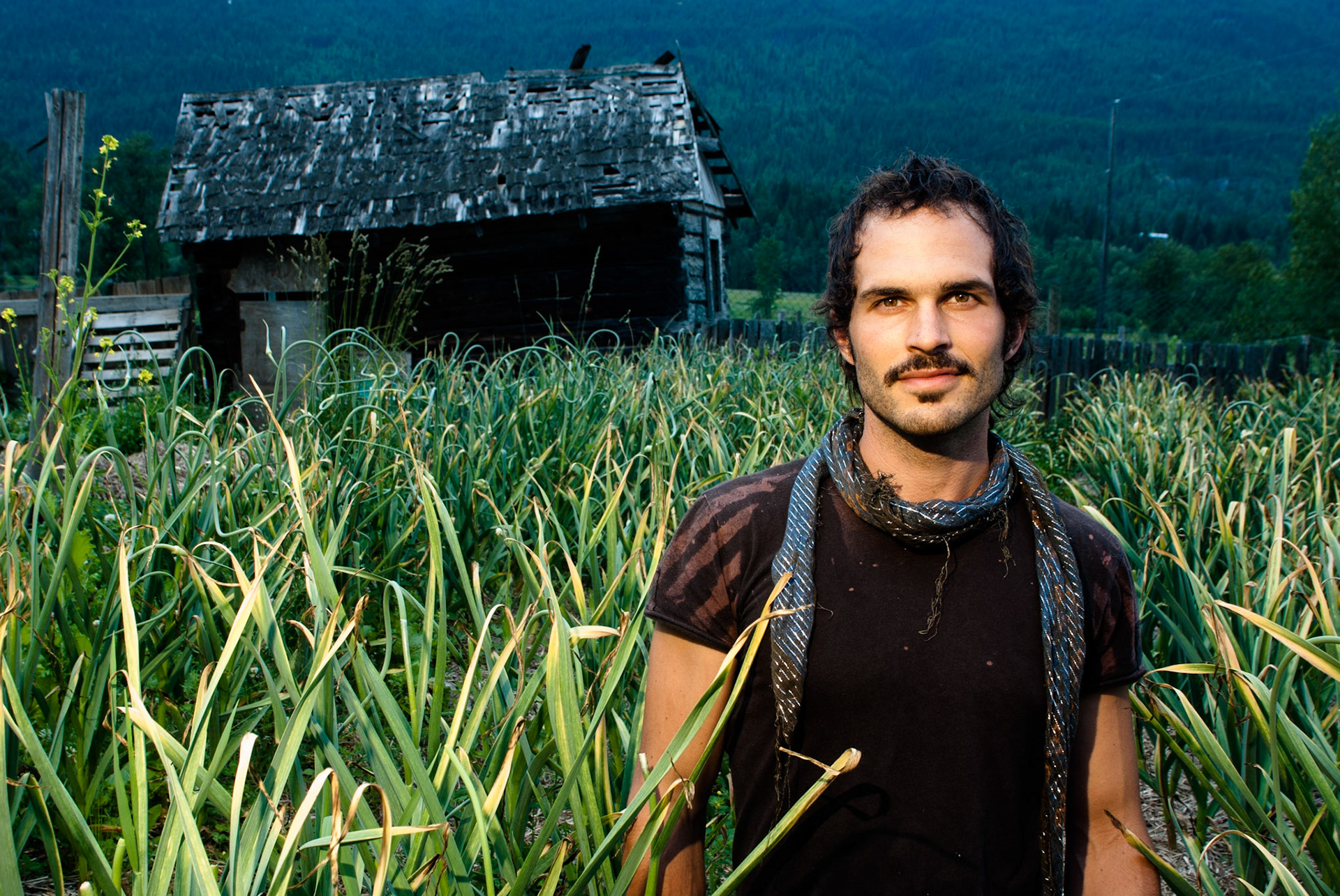 In the garlic field, 2009