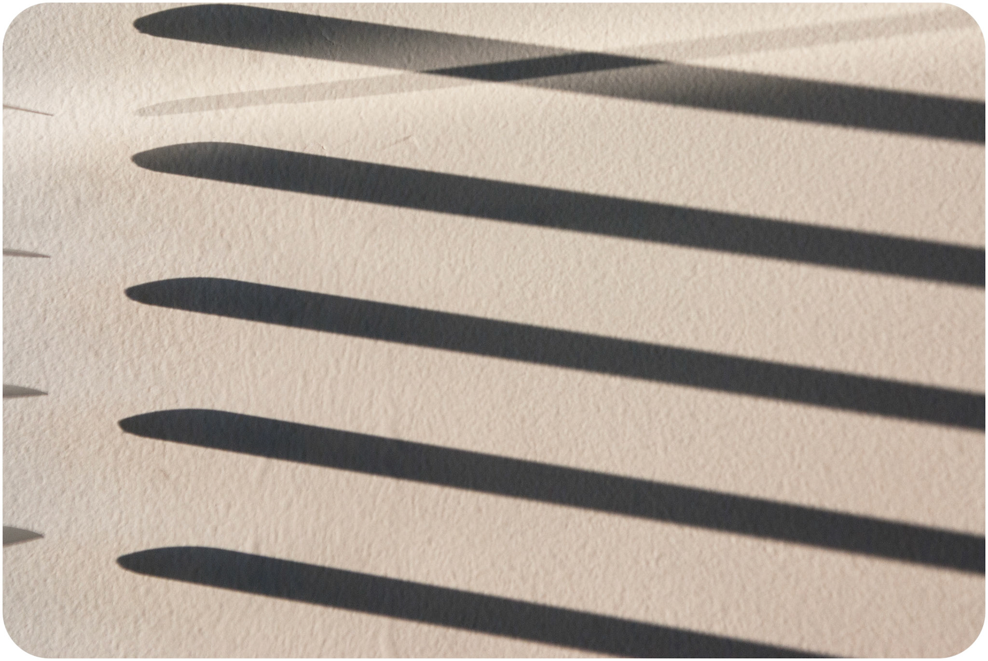 I had the great opportunity to see Freeman Patterson lecture yesterday. One thing that he said rang true with what I tell my students, "it's not about how you shoot something, it's why you photograph it."