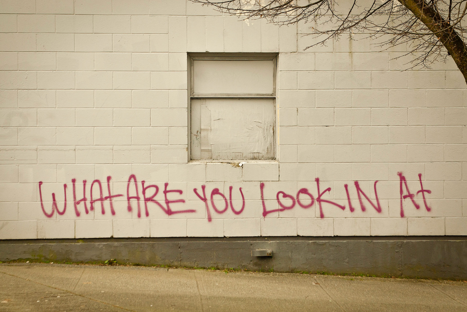 As a photographer I ask myself this question a lot.  Sometimes the subject is obscured and that obscurity  is often created by our own lack of vision.