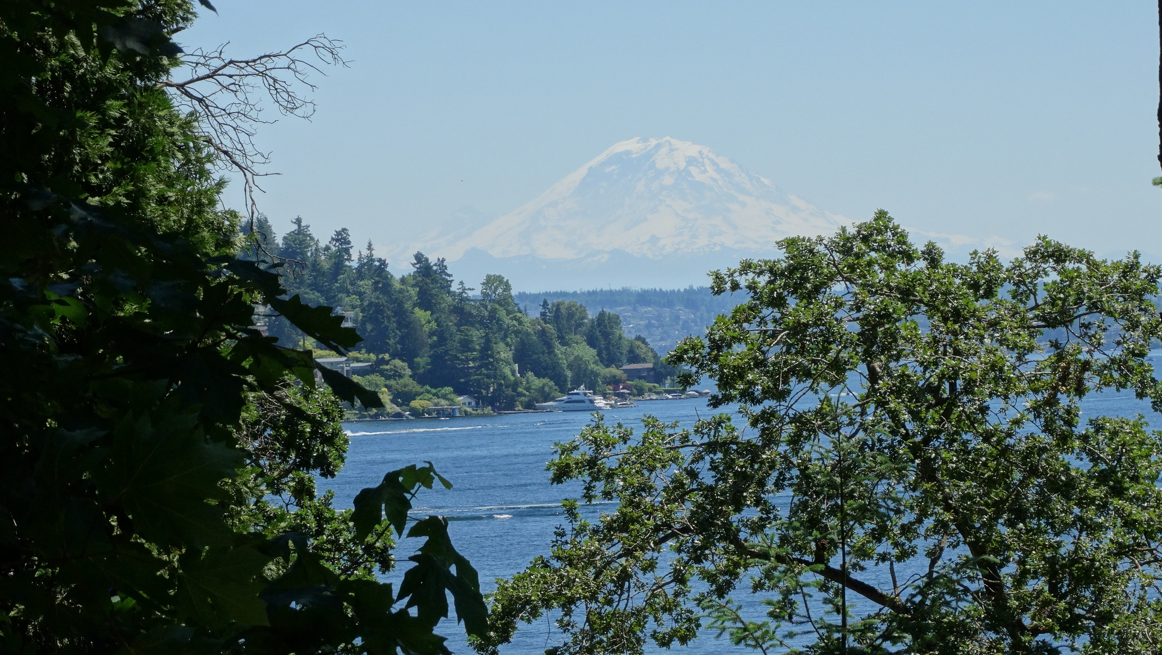 WA Summers