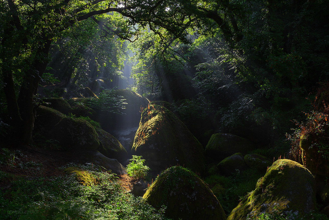 Bretagne