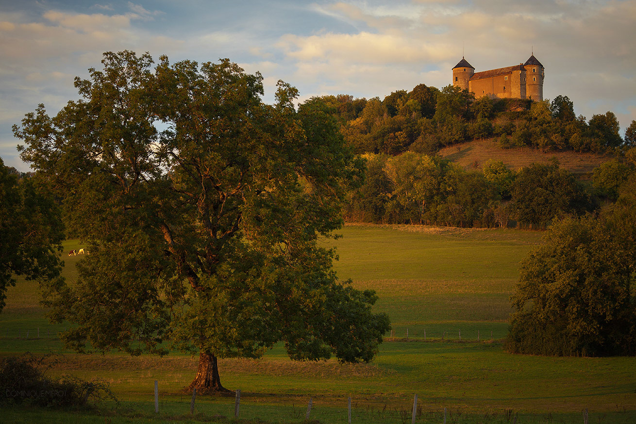 Chateau de Belvoir
