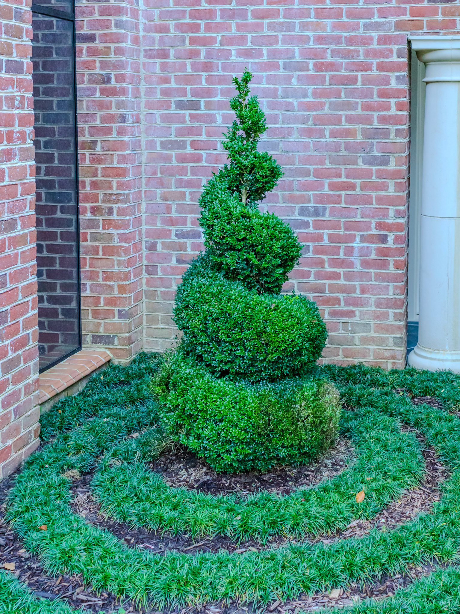 Jaime Mota Landscaping - Atlanta, GA