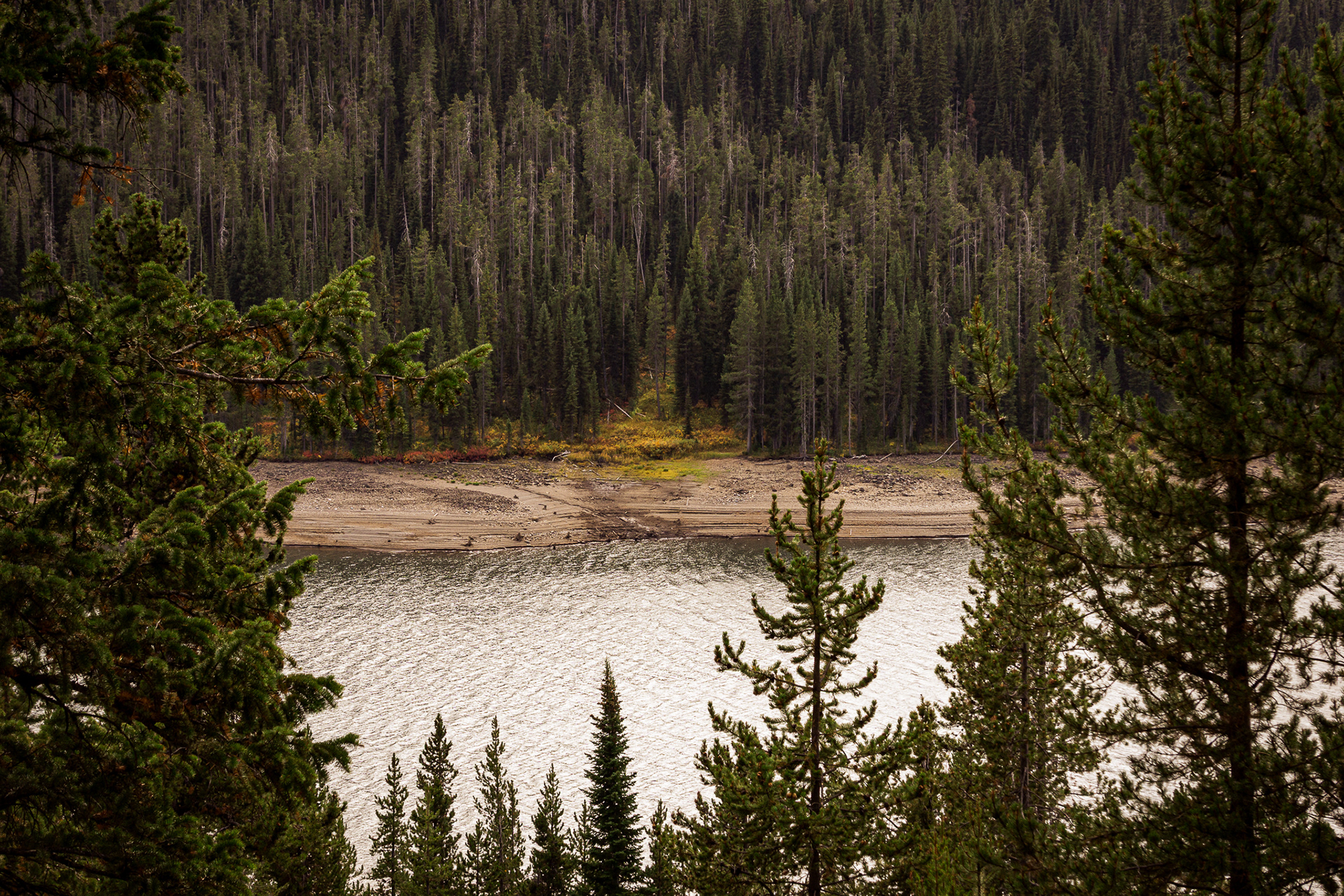 Yellowstone National Park, USA