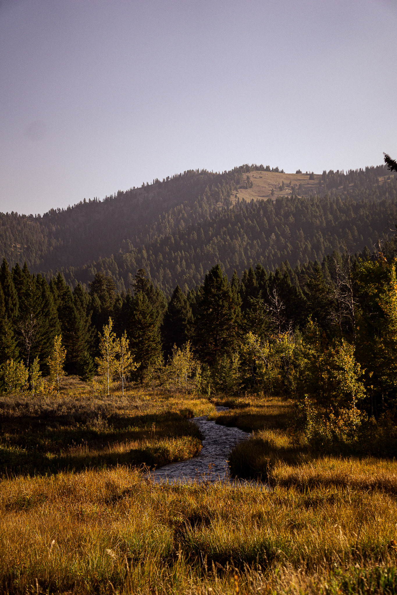 Yellowstone National Park, USA