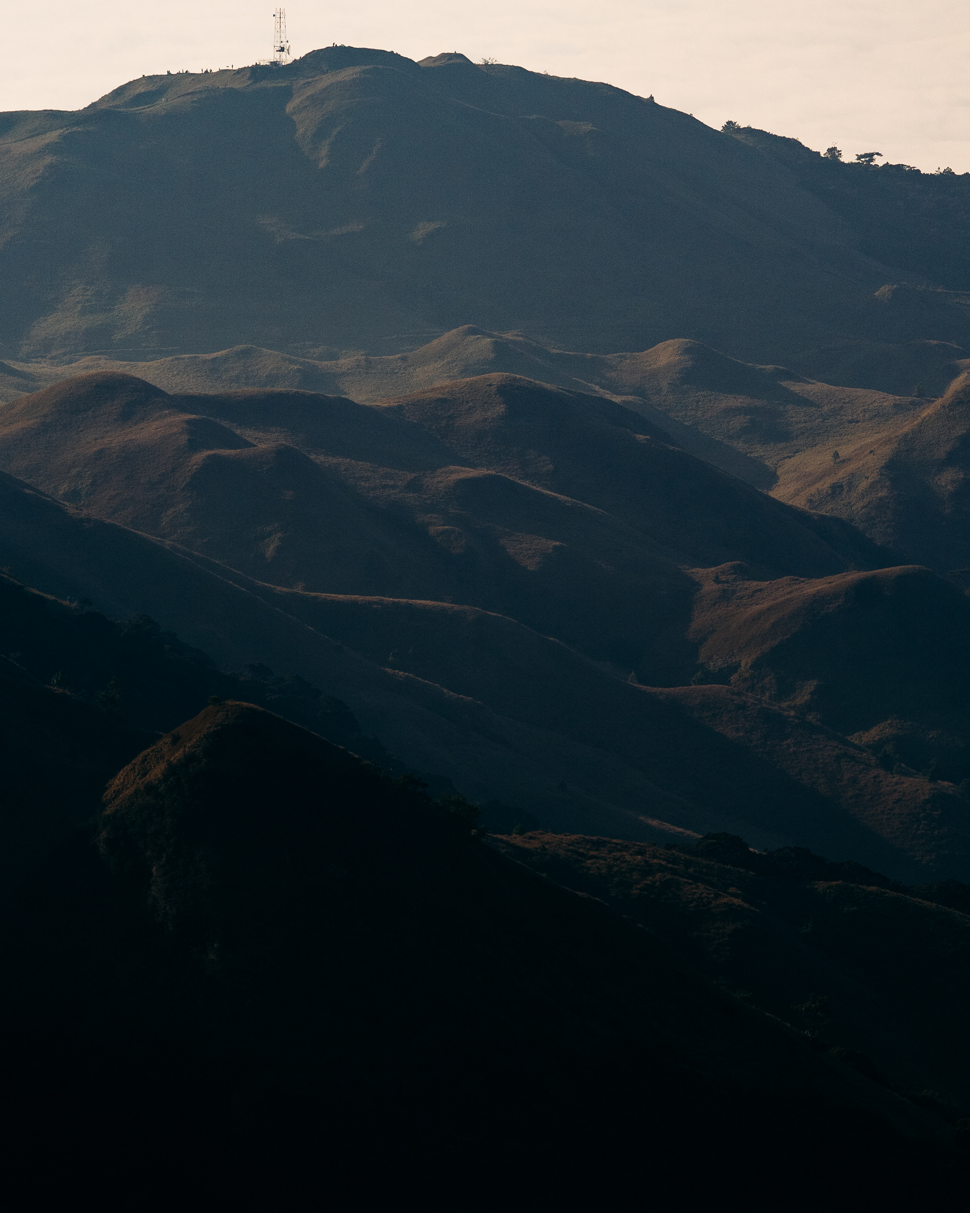 Shot with TAMRON 50-400mm f/4.5-6.3