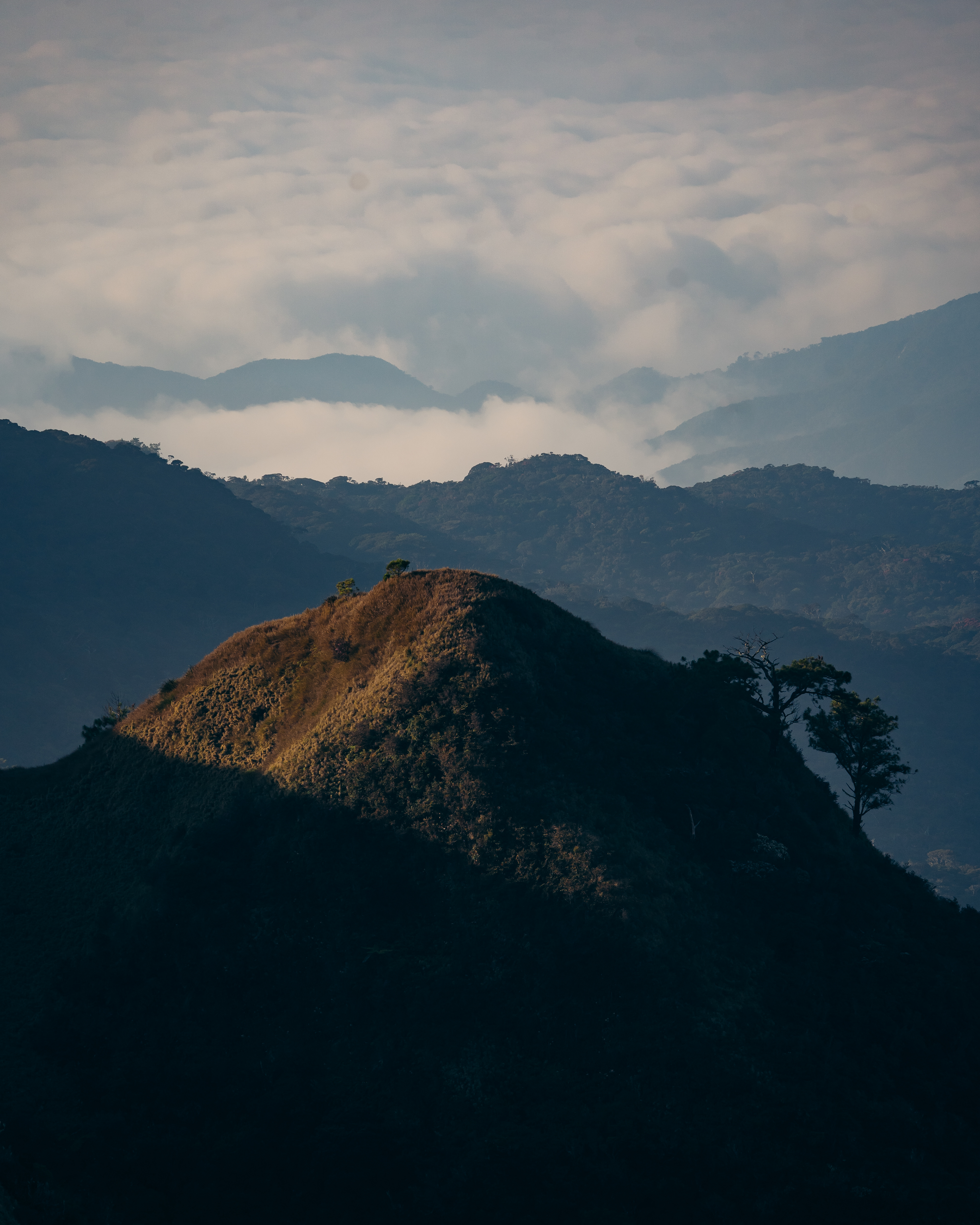 Shot with TAMRON 50-400mm f/4.5-6.3