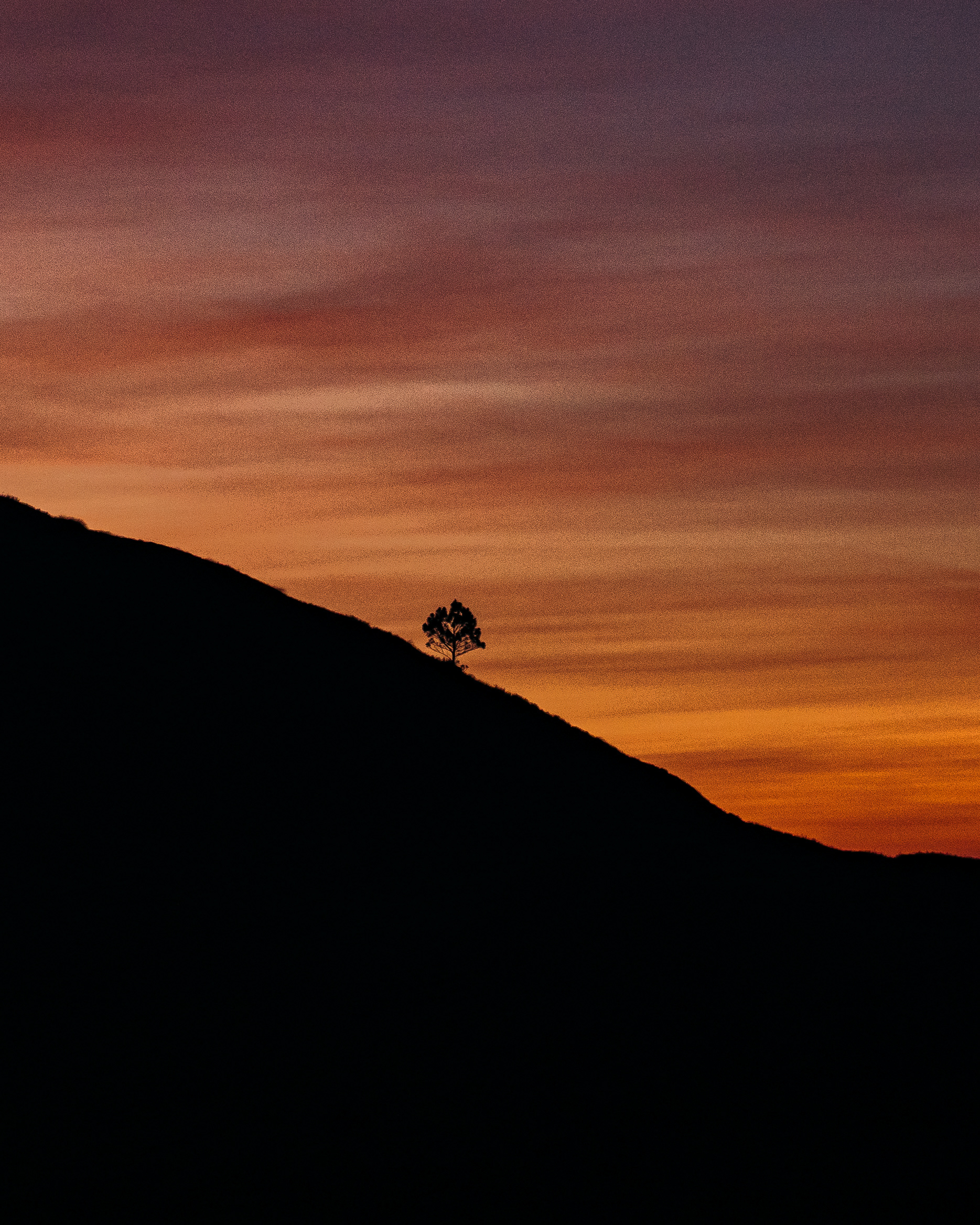 Shot with TAMRON 50-400mm f/4.5-6.3