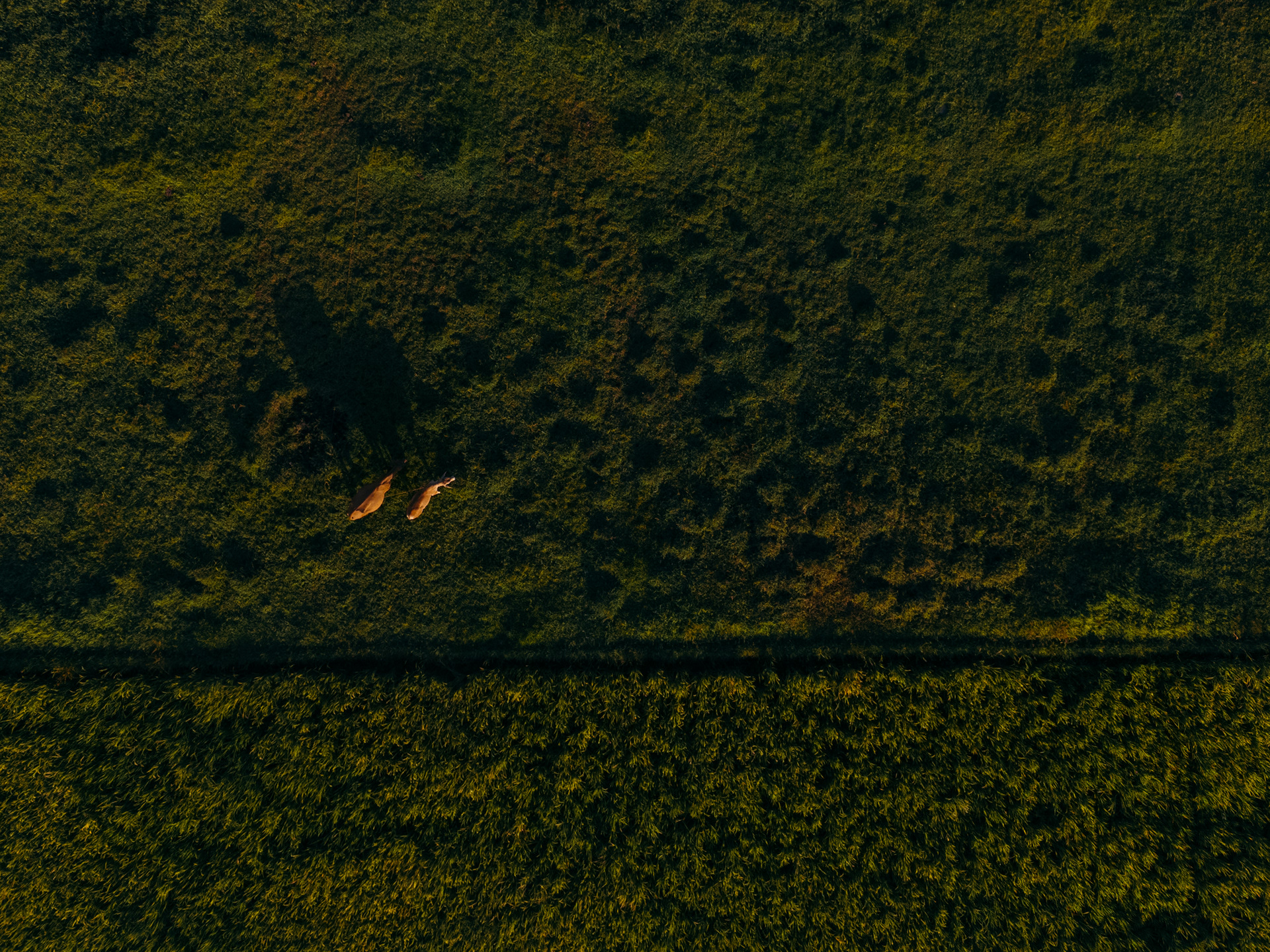 Shot on DJI Mini 4 PRO