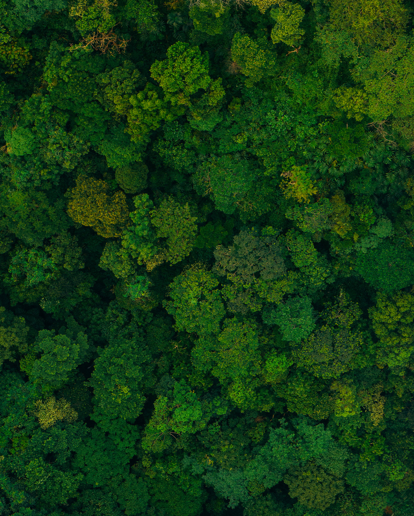 Shot on DJI Mavic 4 PRO