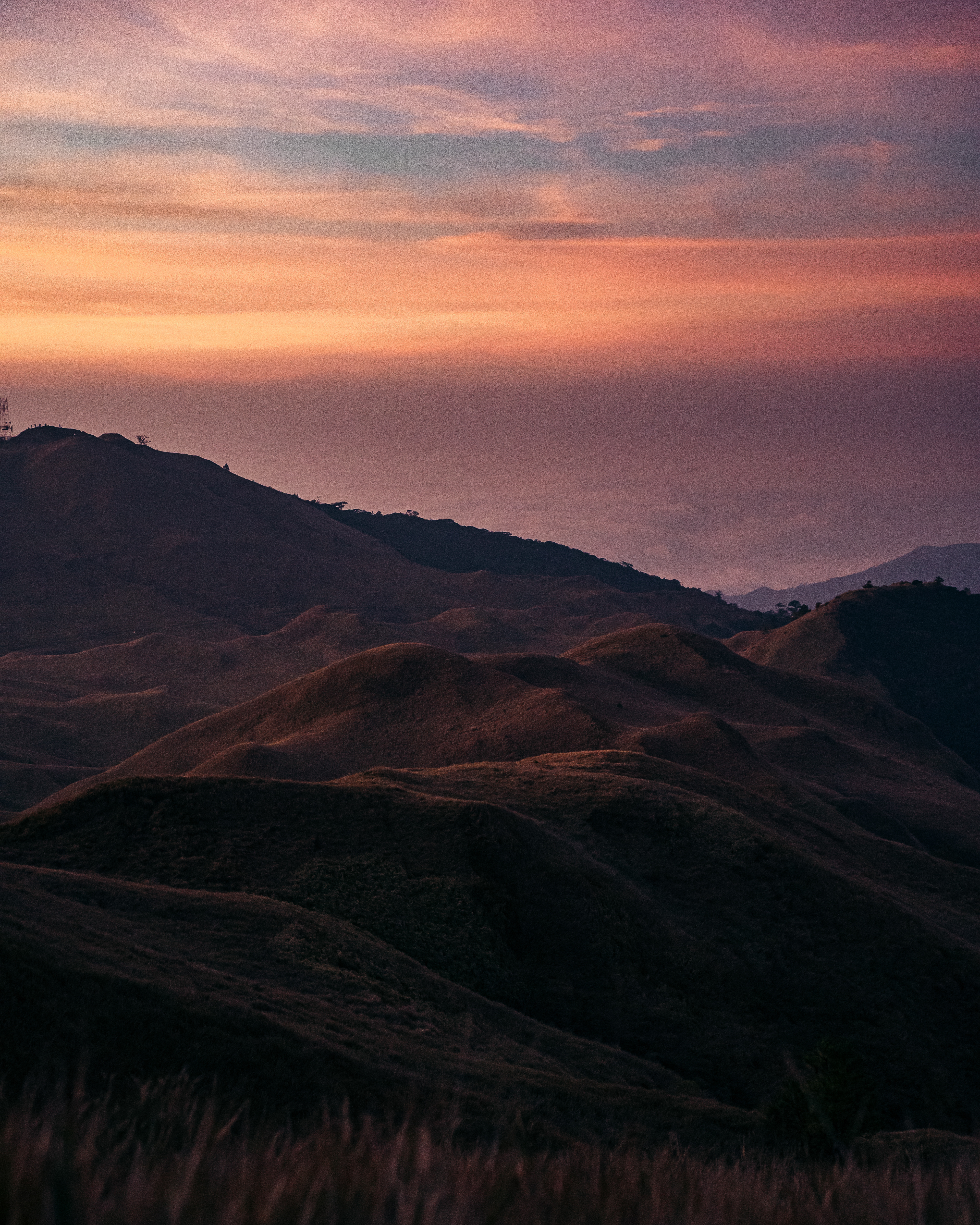Shot with TAMRON 50-400mm f/4.5-6.3