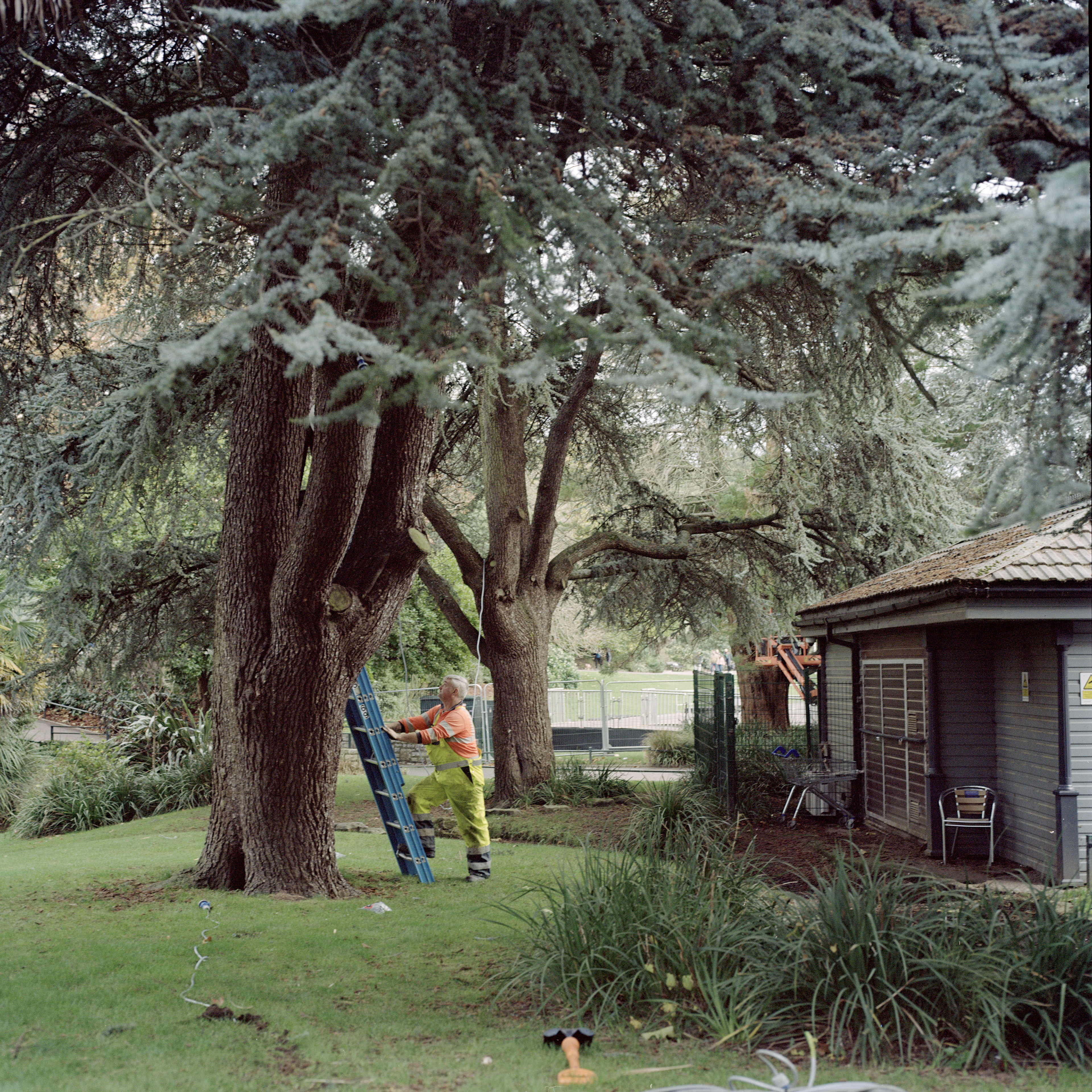 medium format landscape