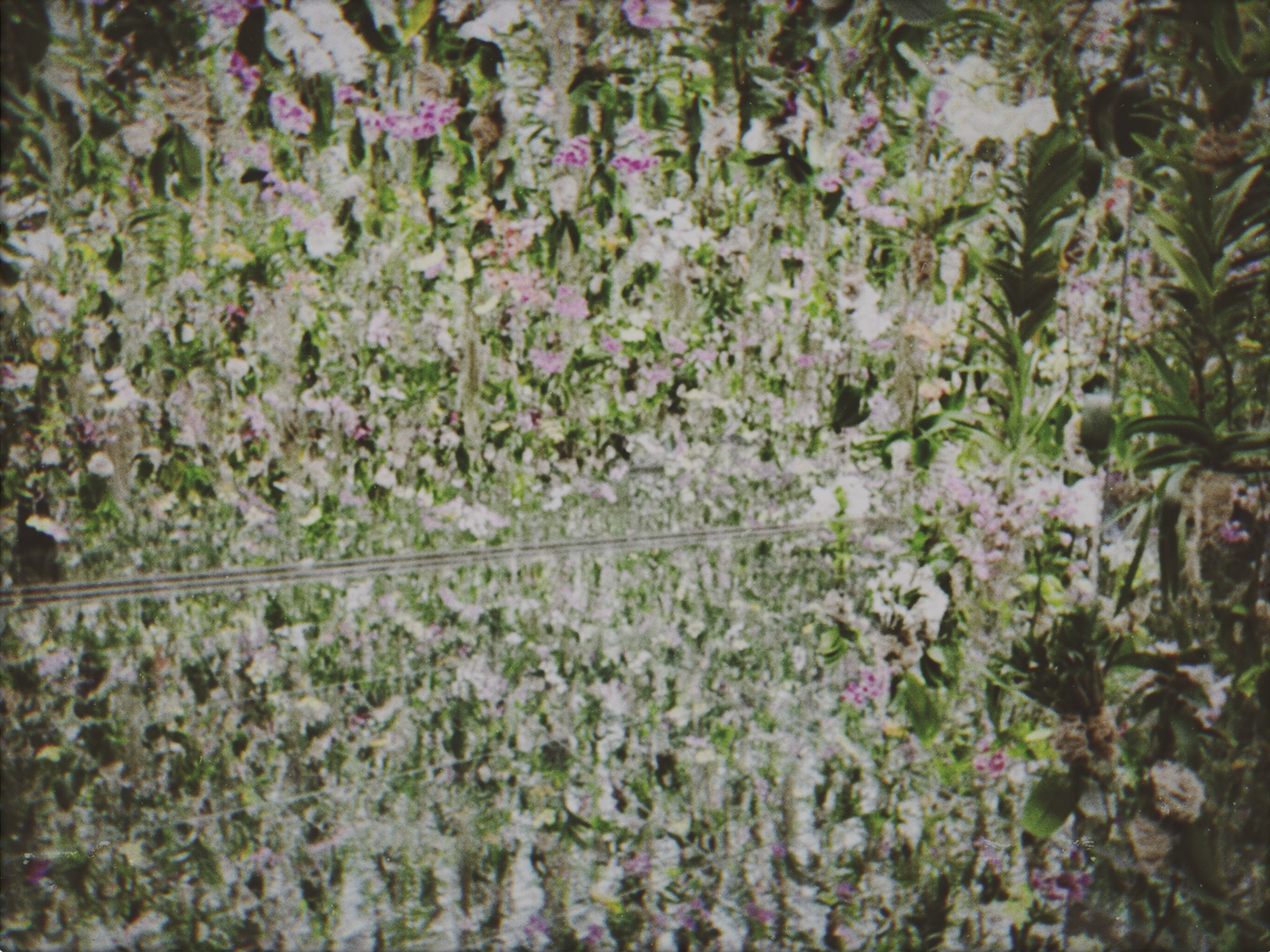 Shot with NOMO CAM INS W.