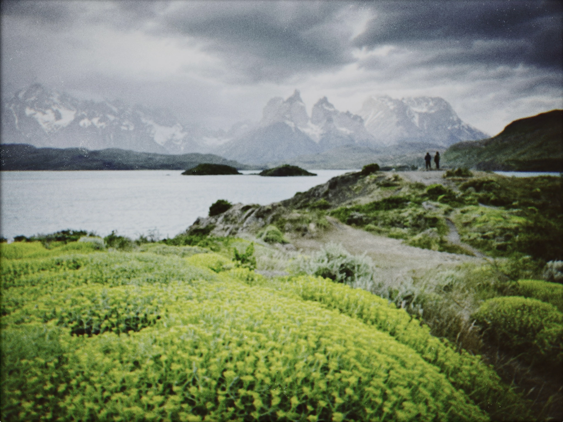 Shot with NOMO CAM INS W.