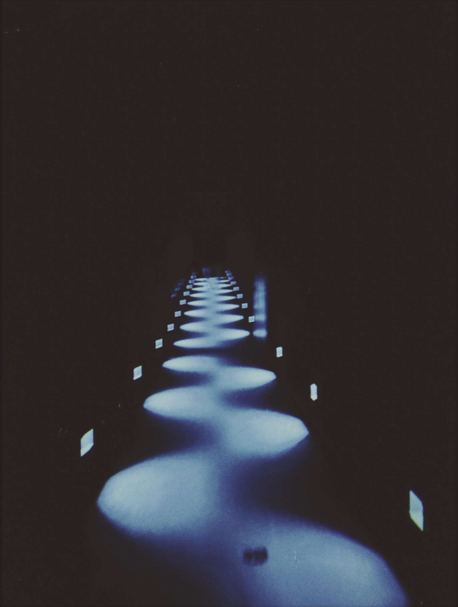 Shot with NOMO CAM INS W.