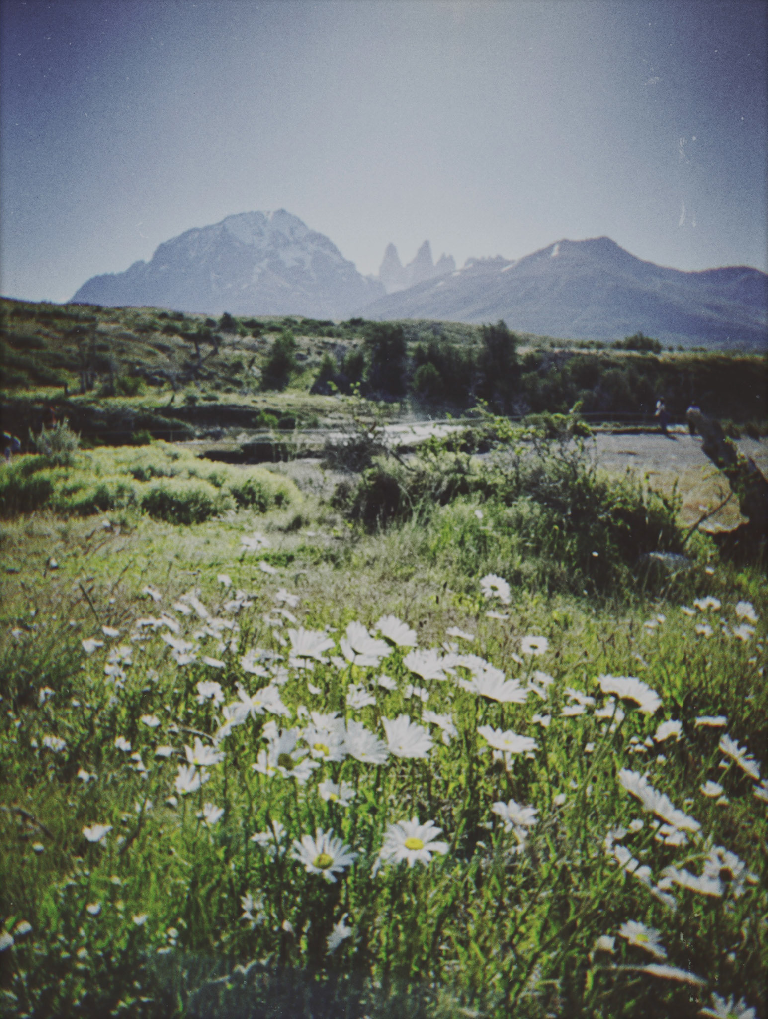 Shot with NOMO CAM INS W.