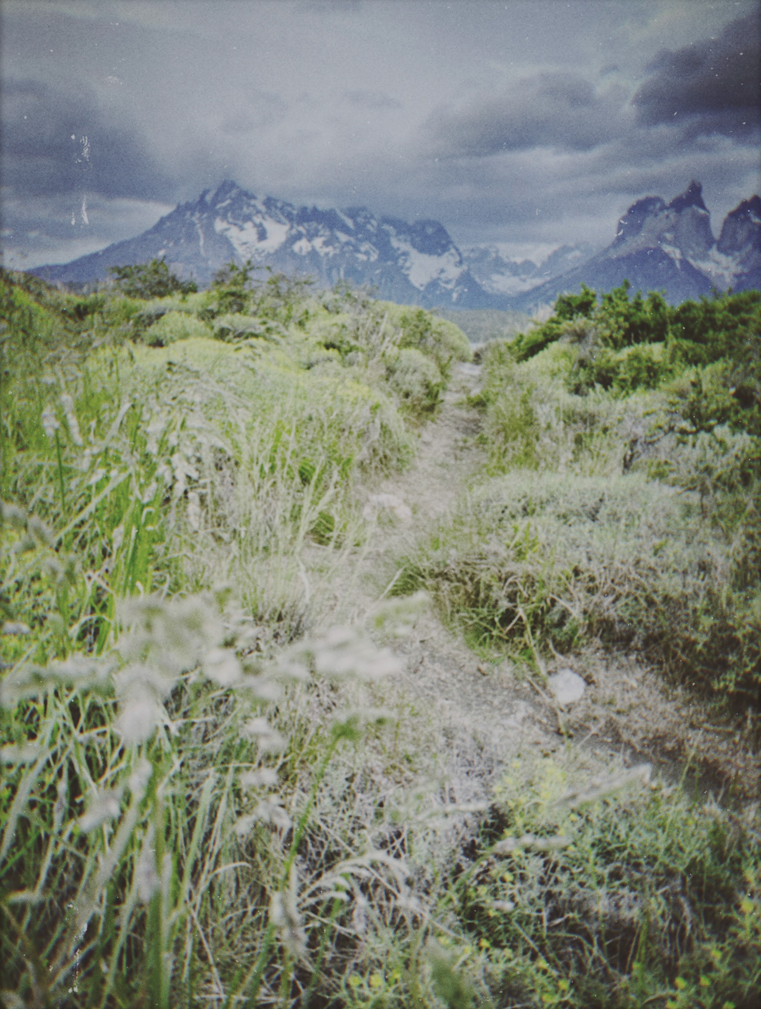 Shot with NOMO CAM INS W.