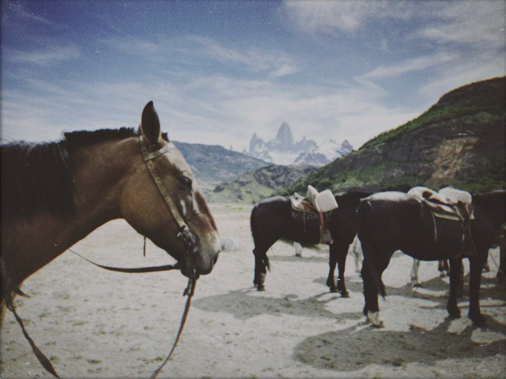 Shot with NOMO CAM INS W.