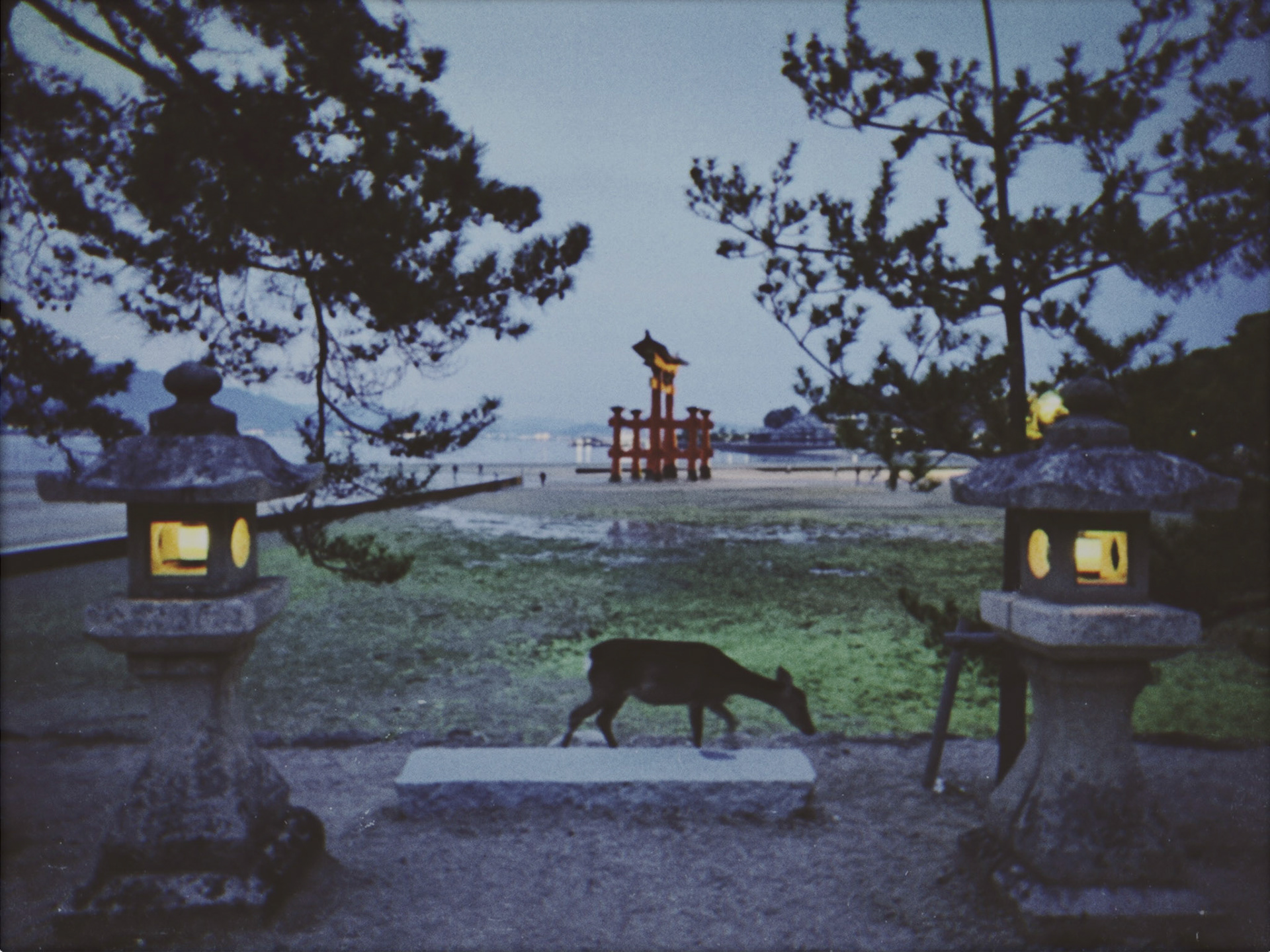 Shot with NOMO CAM INS W.