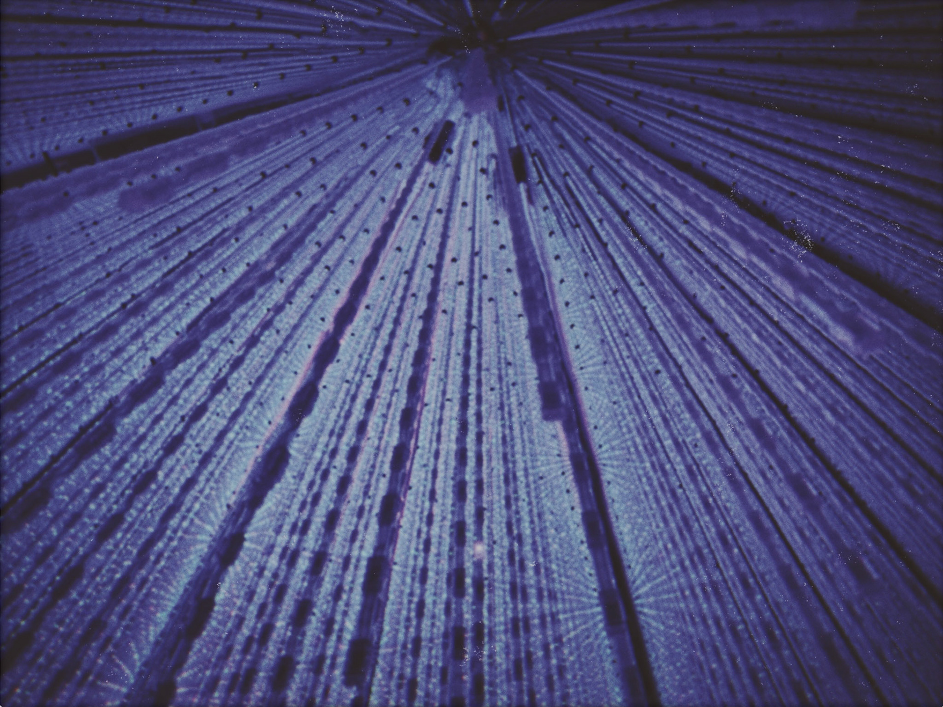 Shot with NOMO CAM INS W.