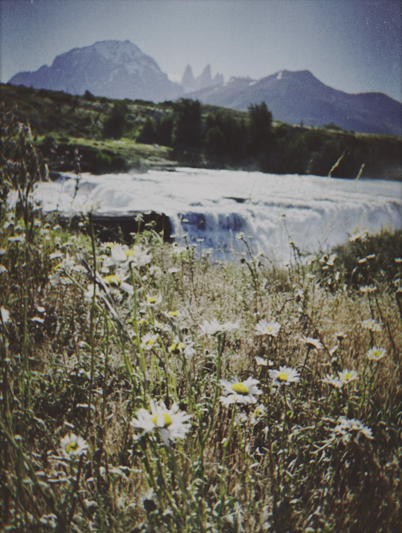 Shot with NOMO CAM INS W.