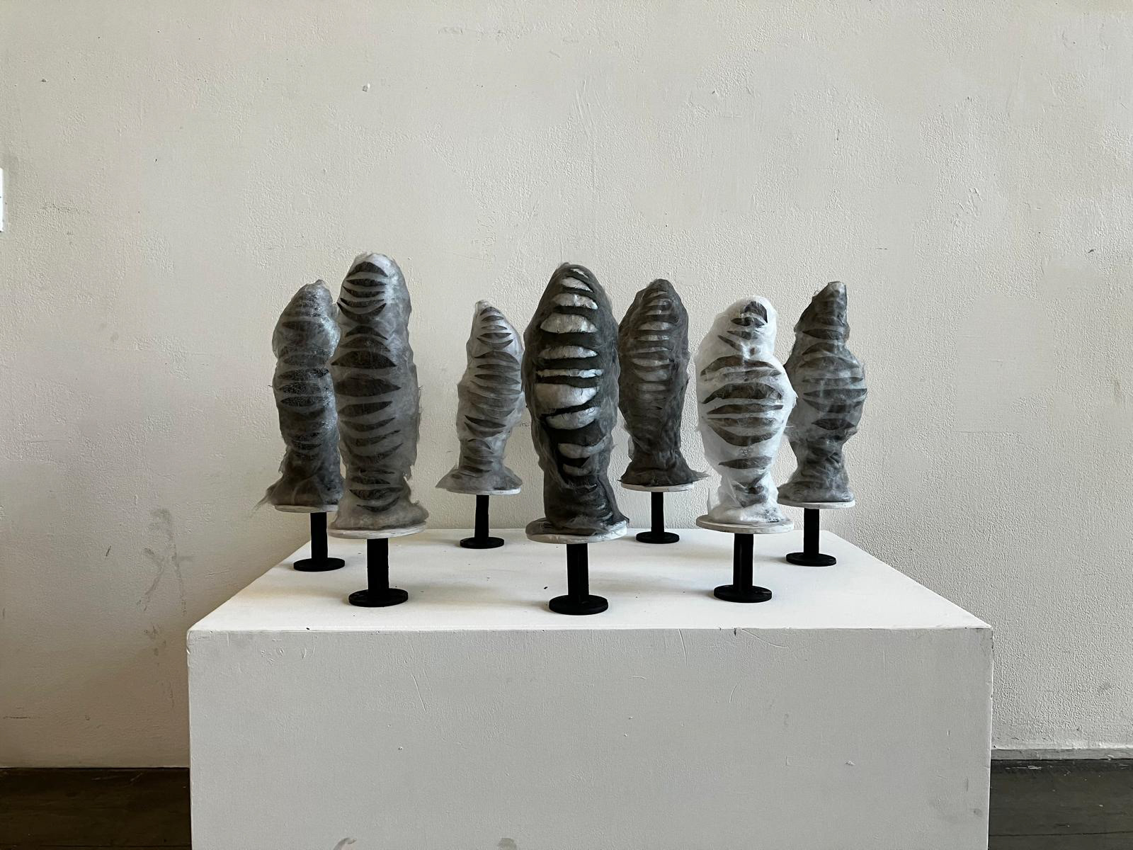 cocoons finished