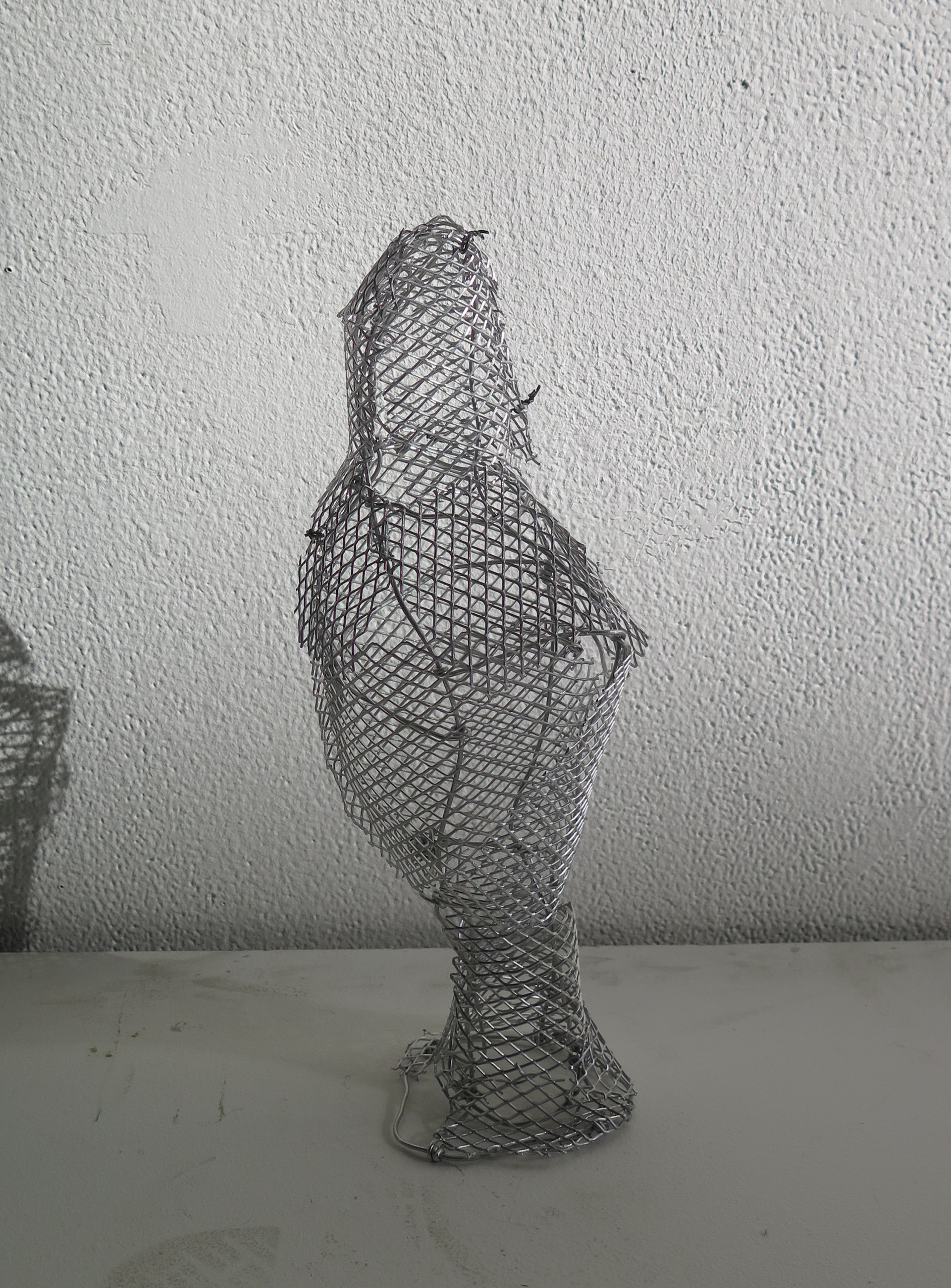 aluminum mesh on wireframe