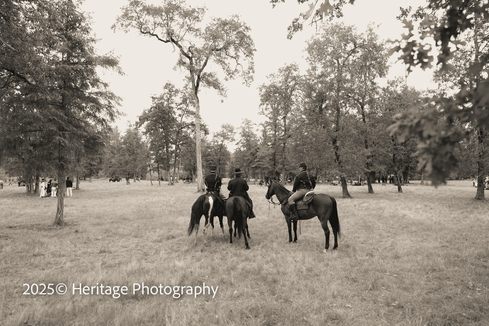 General Grant Surveying the Battle Field