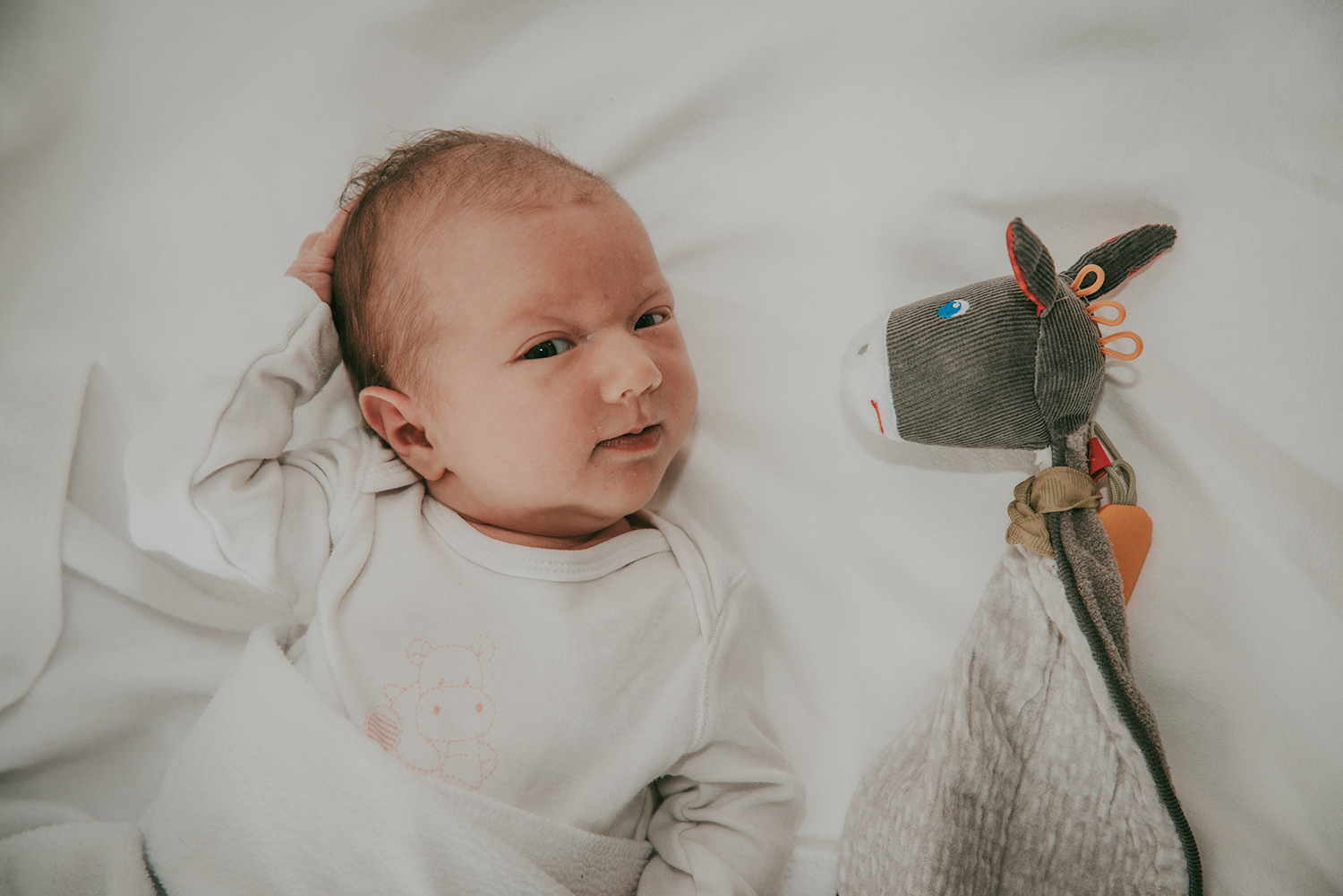 Baby Fotografie Bremen Antje Ehlting