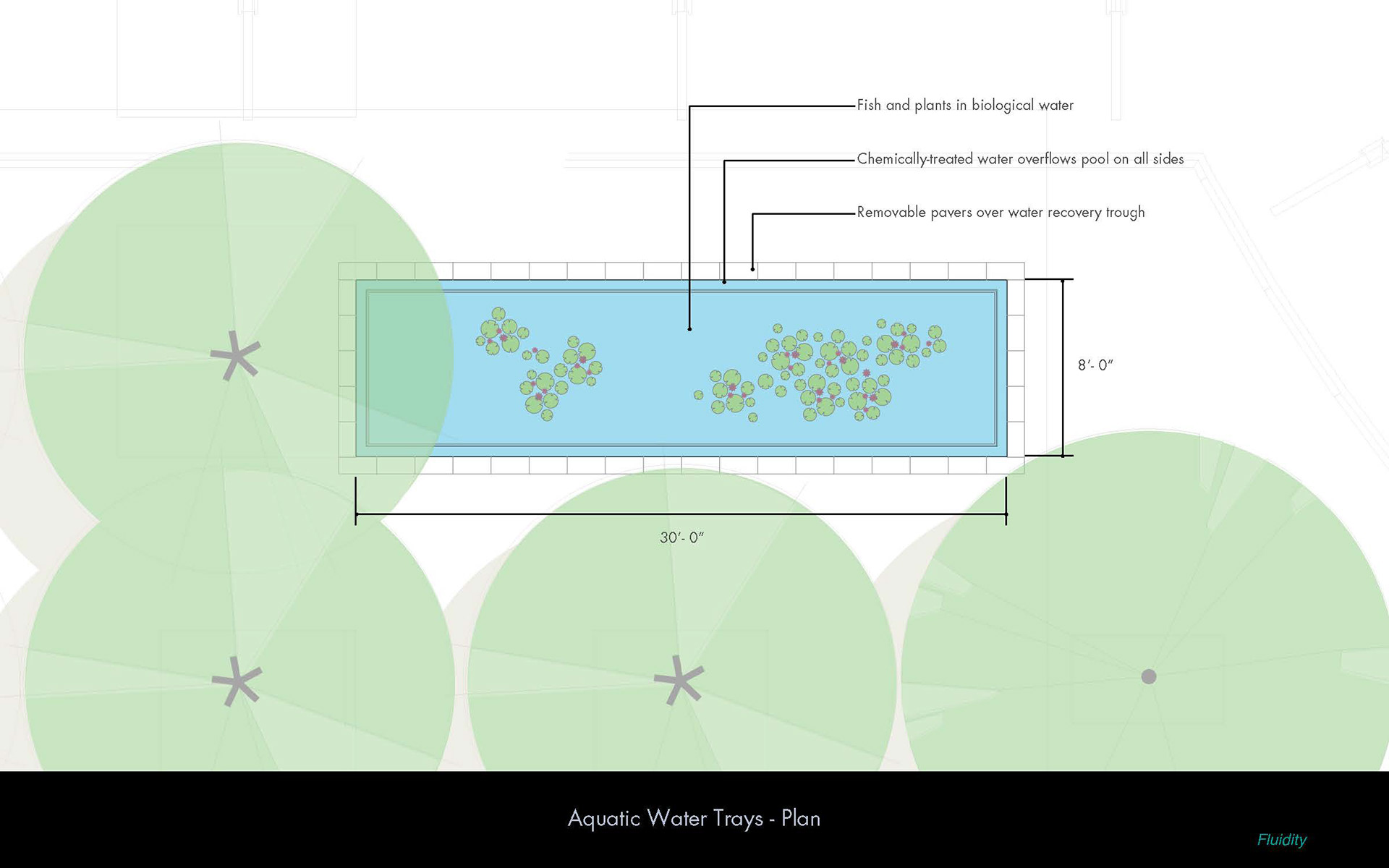 aquatic water tray feature plan