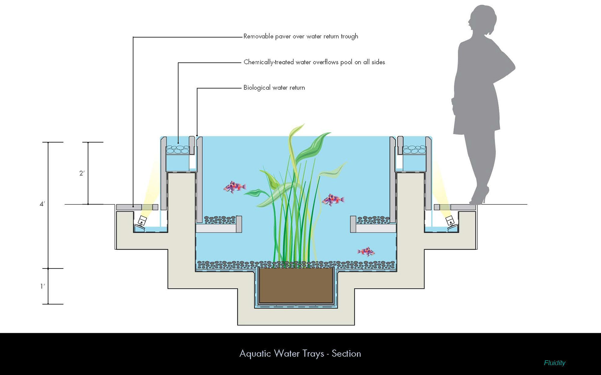 aquatic water tray feature detail section
