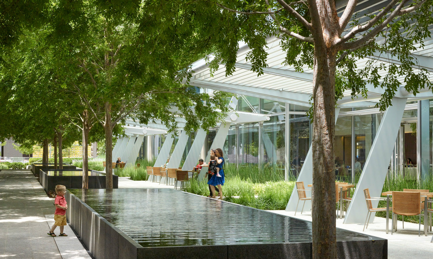 aquatic water tray features