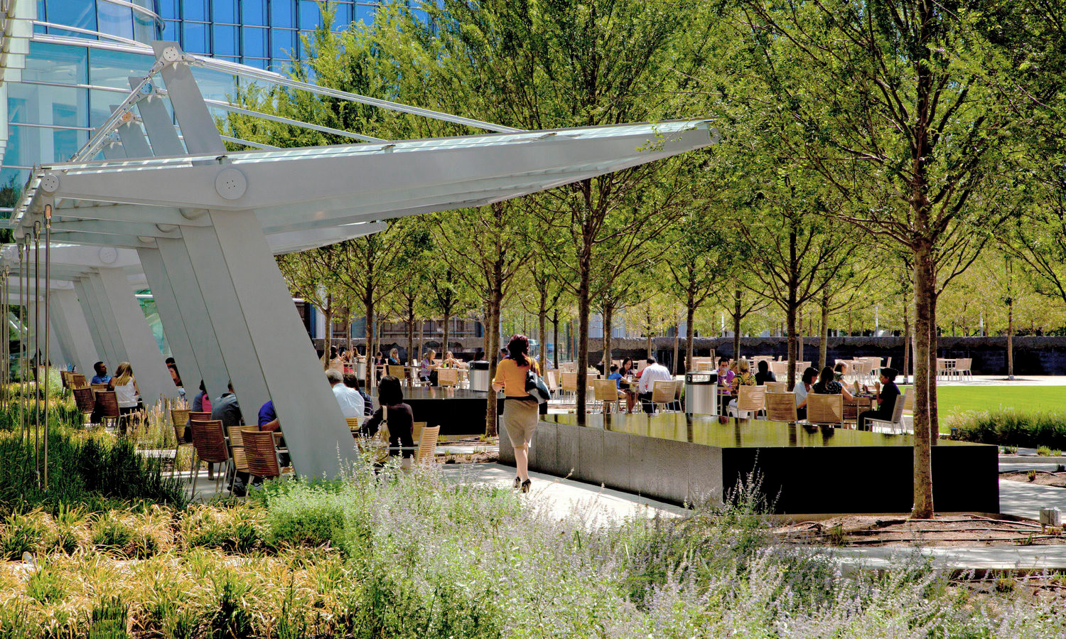 aquatic water tray features