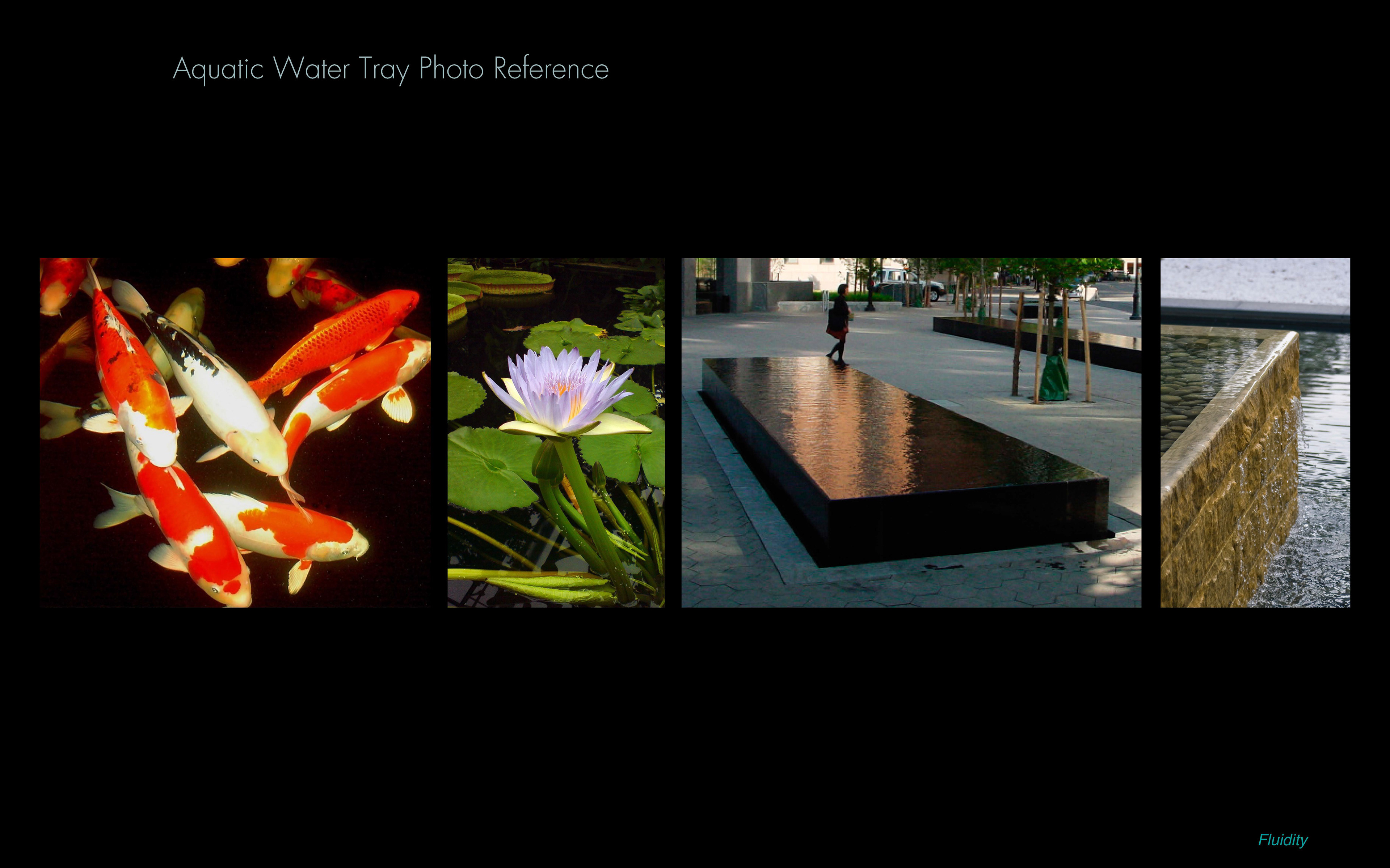 aquatic water tray features reference images