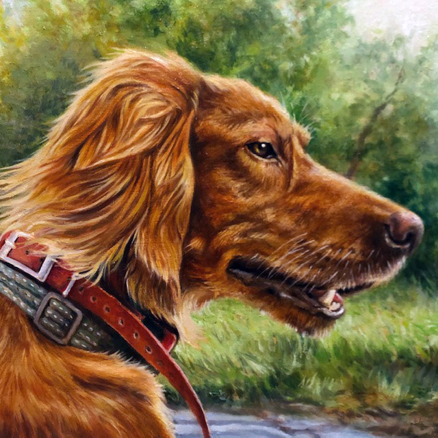 “Sadie”, 12x12in., oil on linen on panel